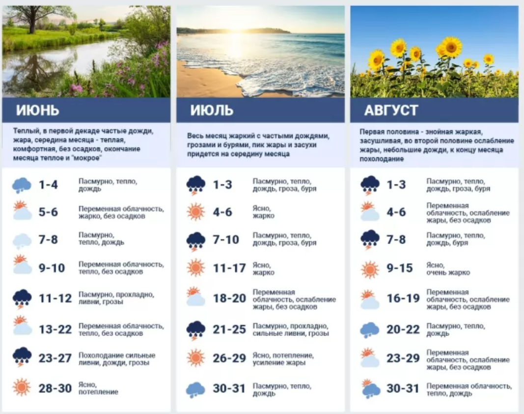 Прогноз на лето-2021 от народного синоптика. Коллаж: Сегодня